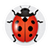 Coccinelle